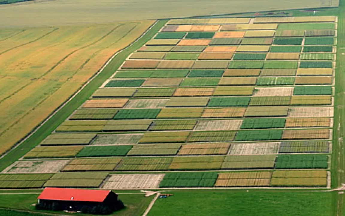 Pflanzenschutzeinsatz zu halbieren rechnet sich nicht 