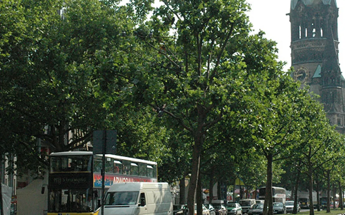Neues Stadtgrün zur Fußballweltmeisterschaft