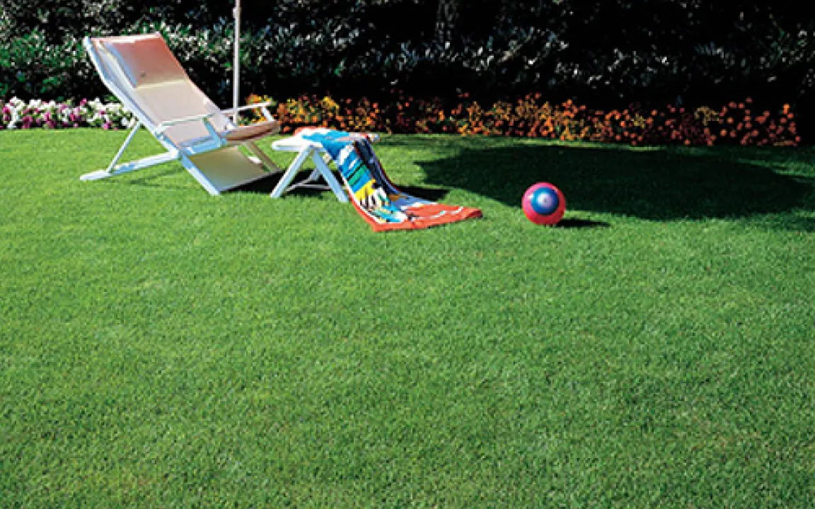 Auf die Plätze, fertig, Moos! 