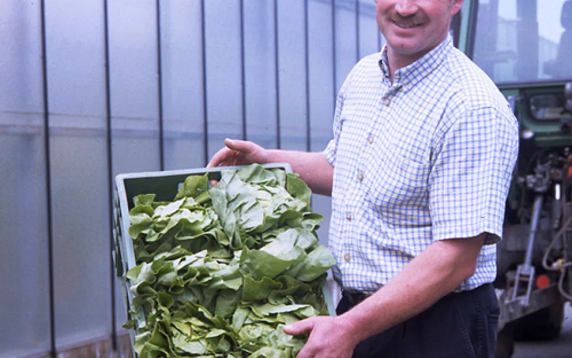 Deutsches Obst und Gemüse mit hoher Qualität