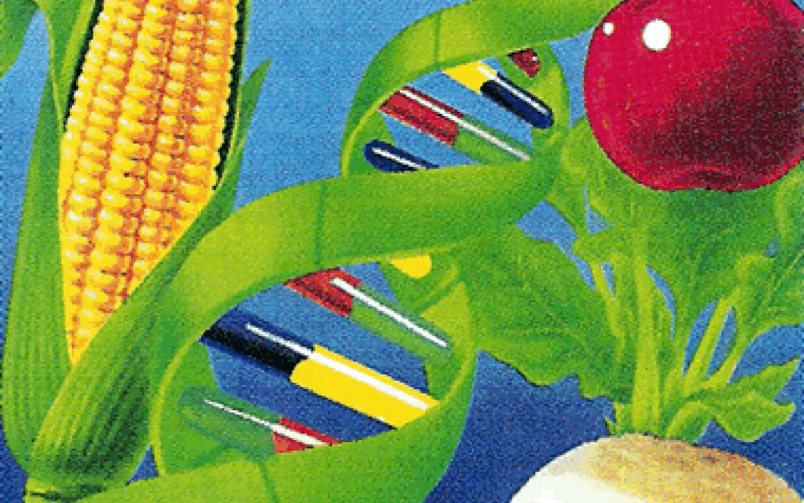 Grüne Gentechnik I – neue Chancen für die Menschen 