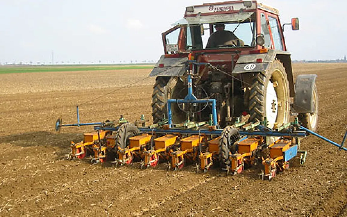 Dem Zucker auf der Spur