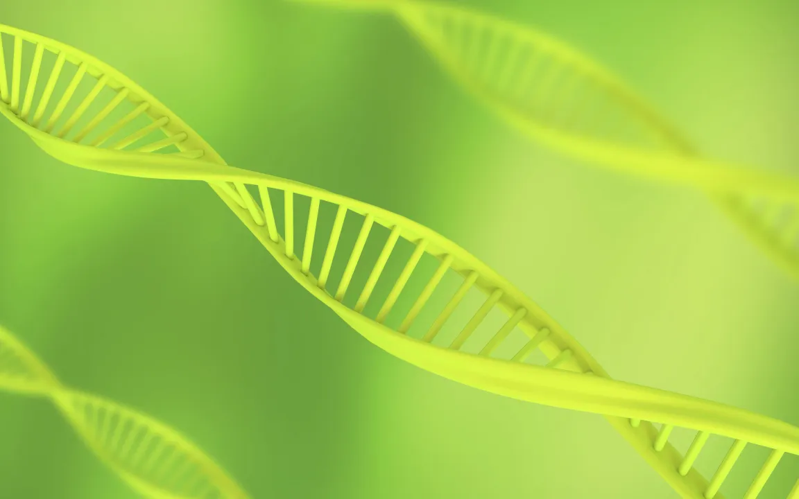 Neue Generation gentechnisch veränderter Pflanzen geht an den Start