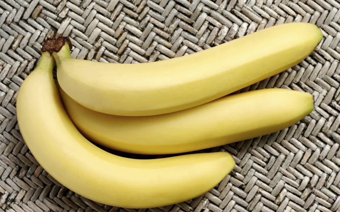 Bedrohte Bananen: Rettung durch Gentechnik?