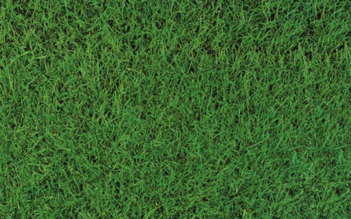 Wellness für den Rasen 