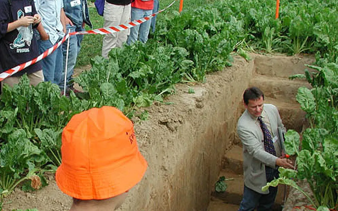 Wo unser Sonntagskuchen wächst