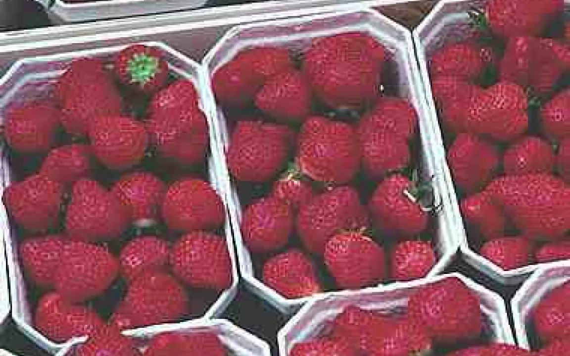 Erdbeeren aus fremden Landen: Besser als ihr Ruf 
