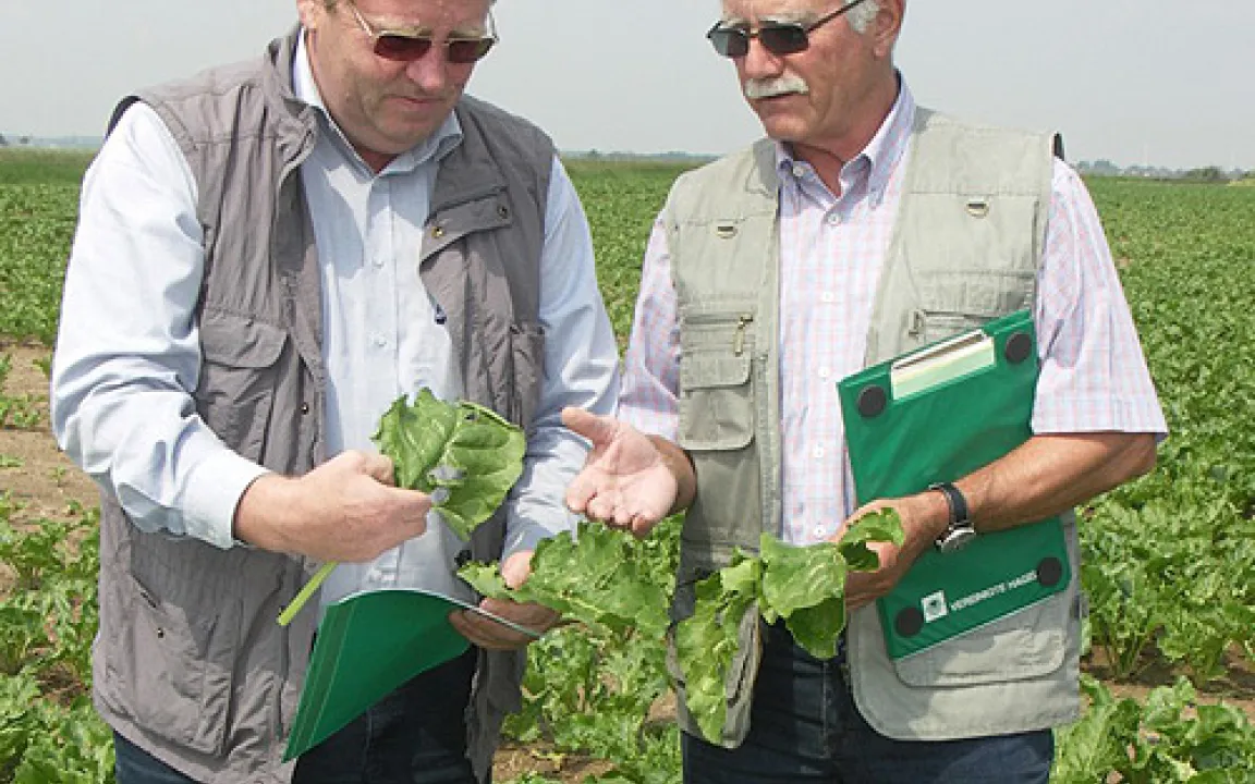 Pflanzenschutzmittel bedarfsgerecht eingesetzt