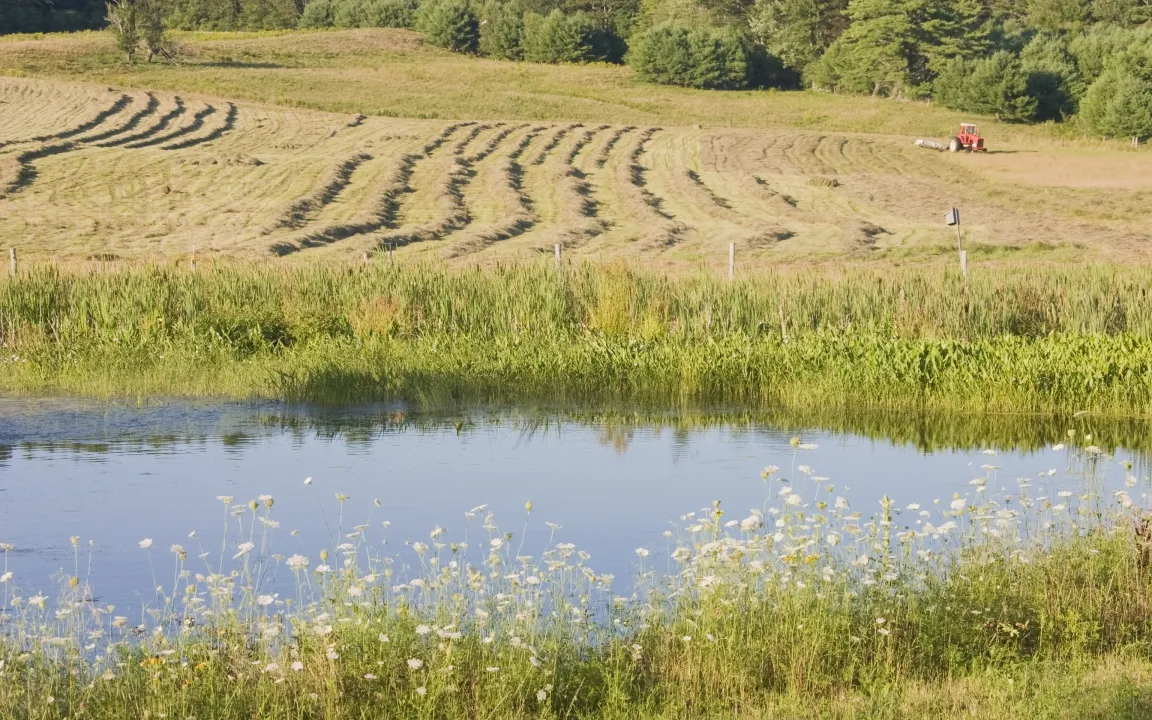 Grundwasserneubildung – Landwirte sind auch Wasserwirte