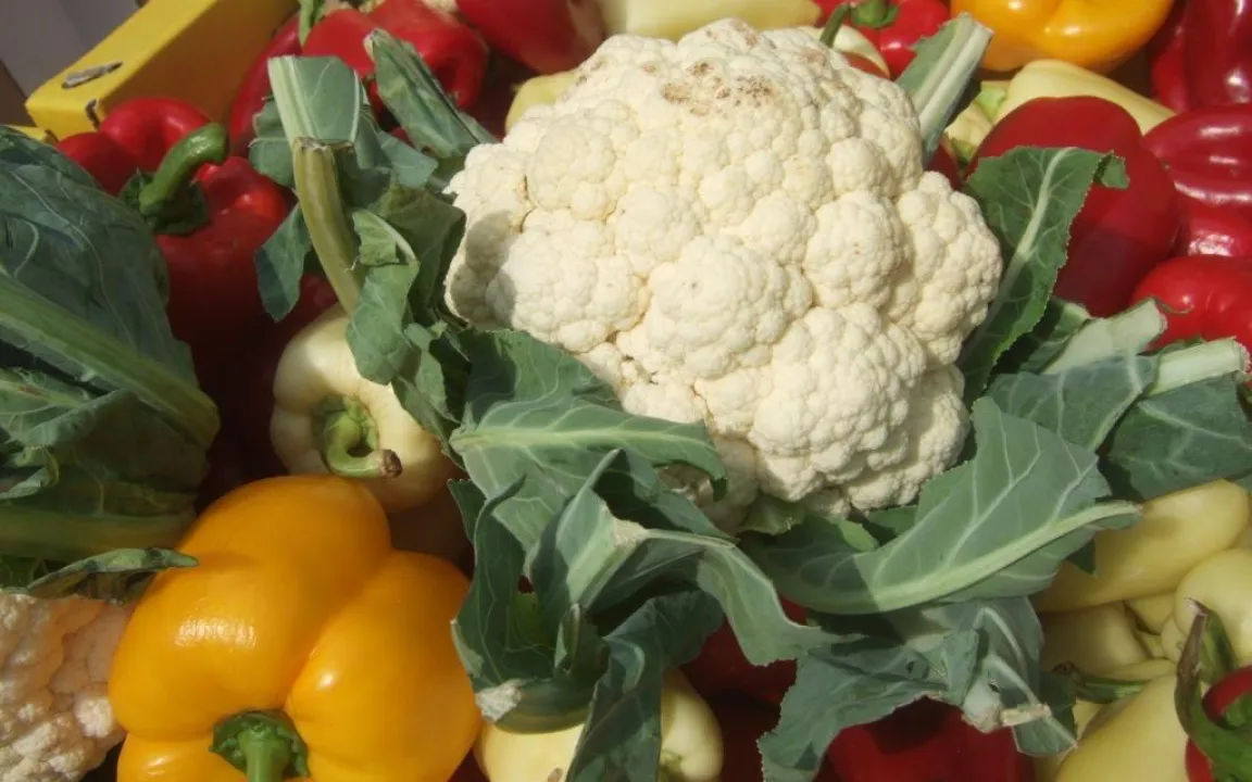 Schwefelmangel: gesunde Luft – krankes Gemüse?