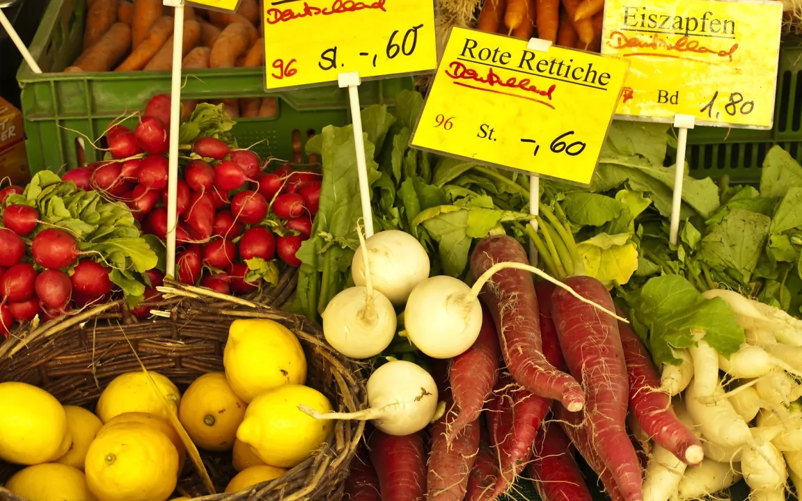 Lebensmittel – sicher und gesund