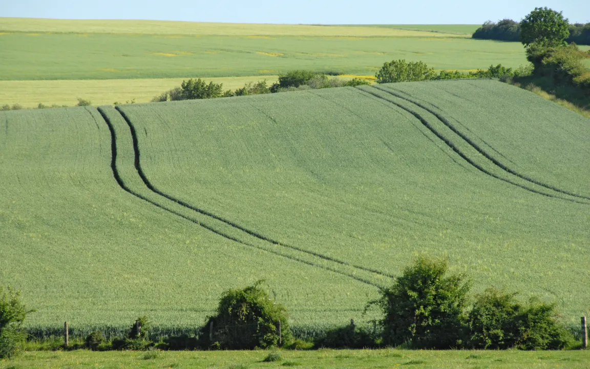 Ökonomisch sinnvoll, ökologisch tragfähig und sozial verantwortungsvoll