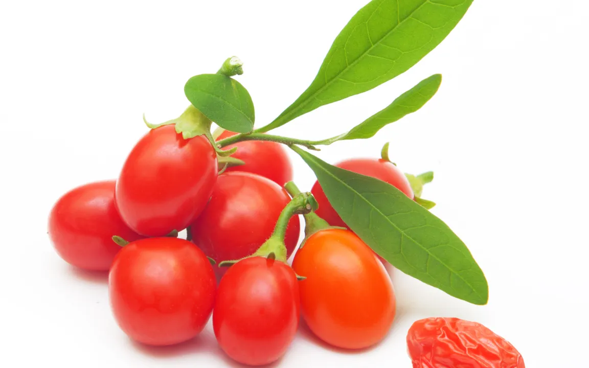 Goji-Beeren – leuchtend rot und stark gefragt