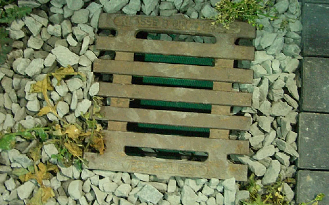 Im Garten auch an den Gewässerschutz denken 