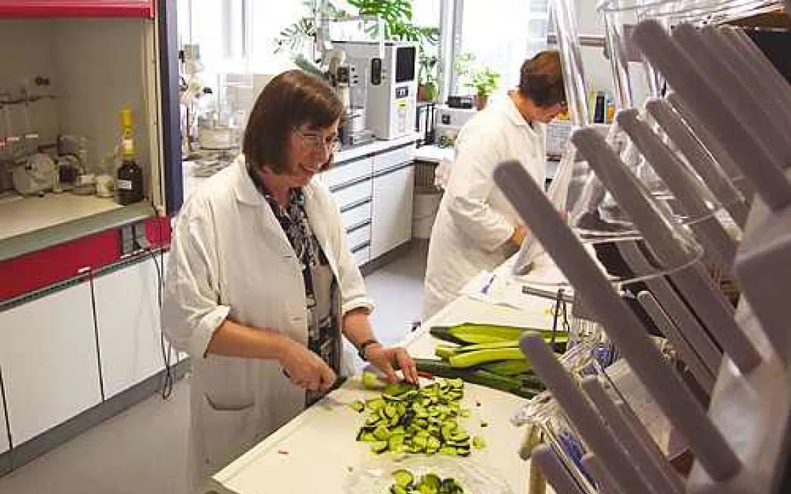 Weniger Pflanzenschutzmittelrückstände in Lebensmitteln