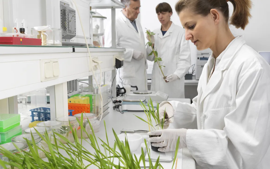 Gentechnik – Deutschland ist jetzt außen vor