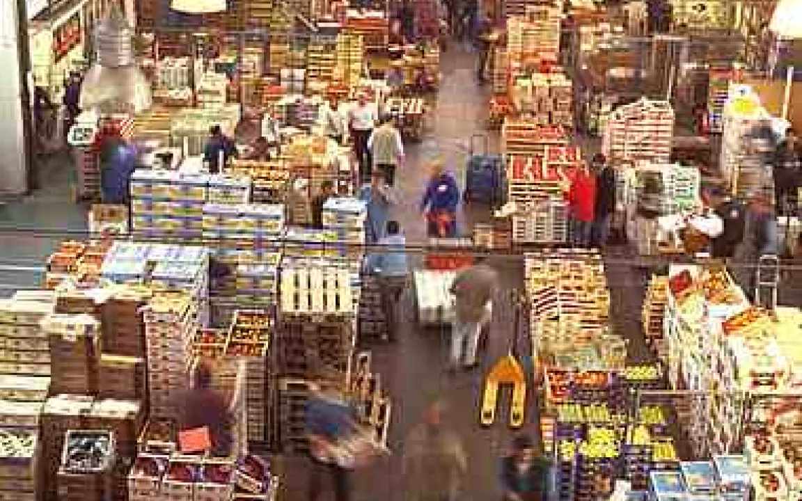 „Rückstandsanalysen ohne Ende“