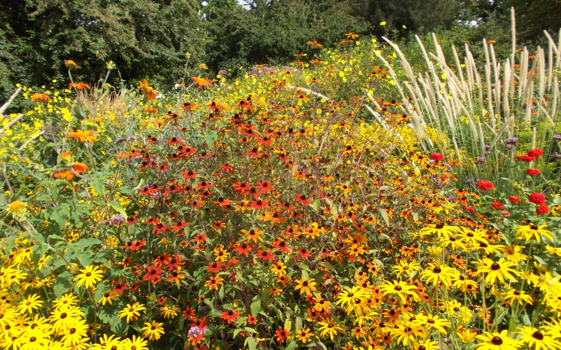 Staudengarten Hermannshof – Gestalterische Verdichtung für kleine und große Gärten