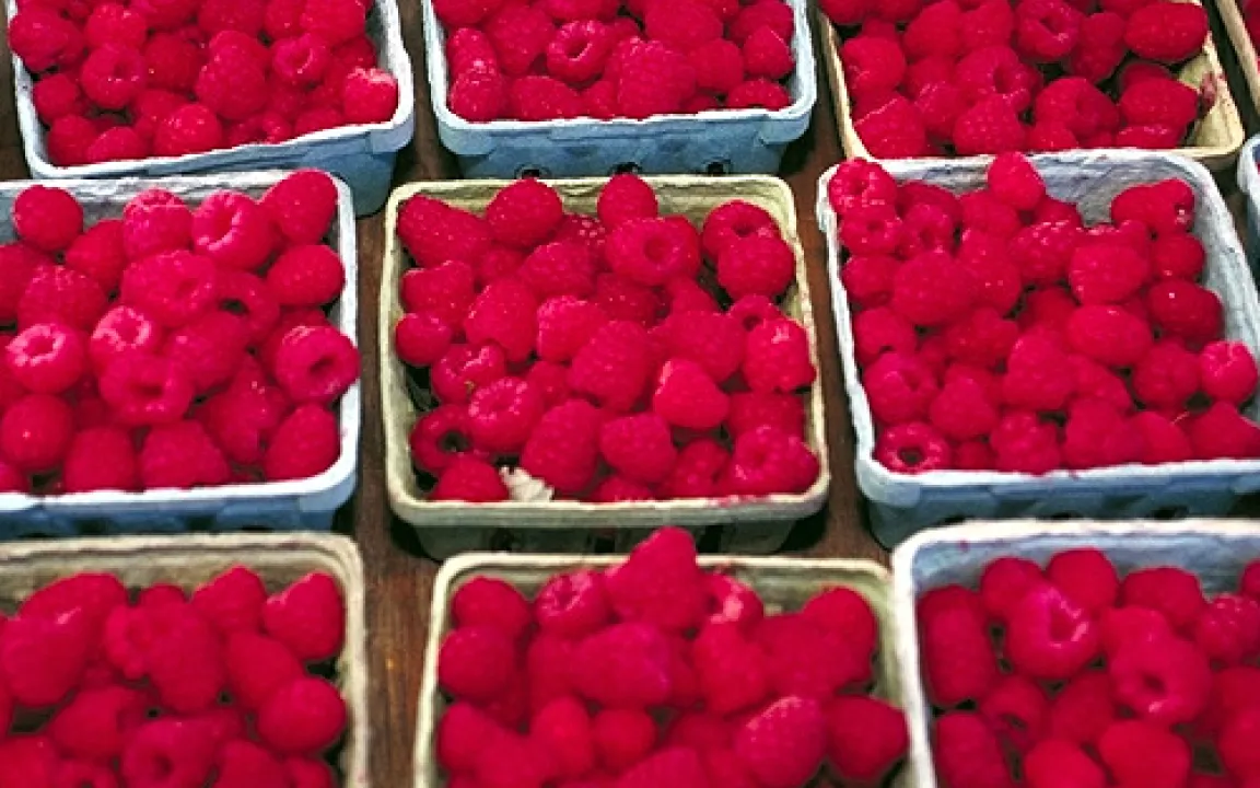 Himbeeren - aber bitte ohne "Fleischbeilage"