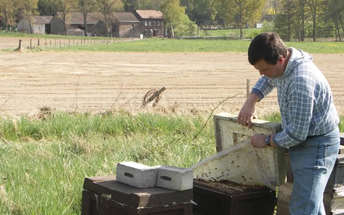 "Imker können Bienengesundheit verbessern"
