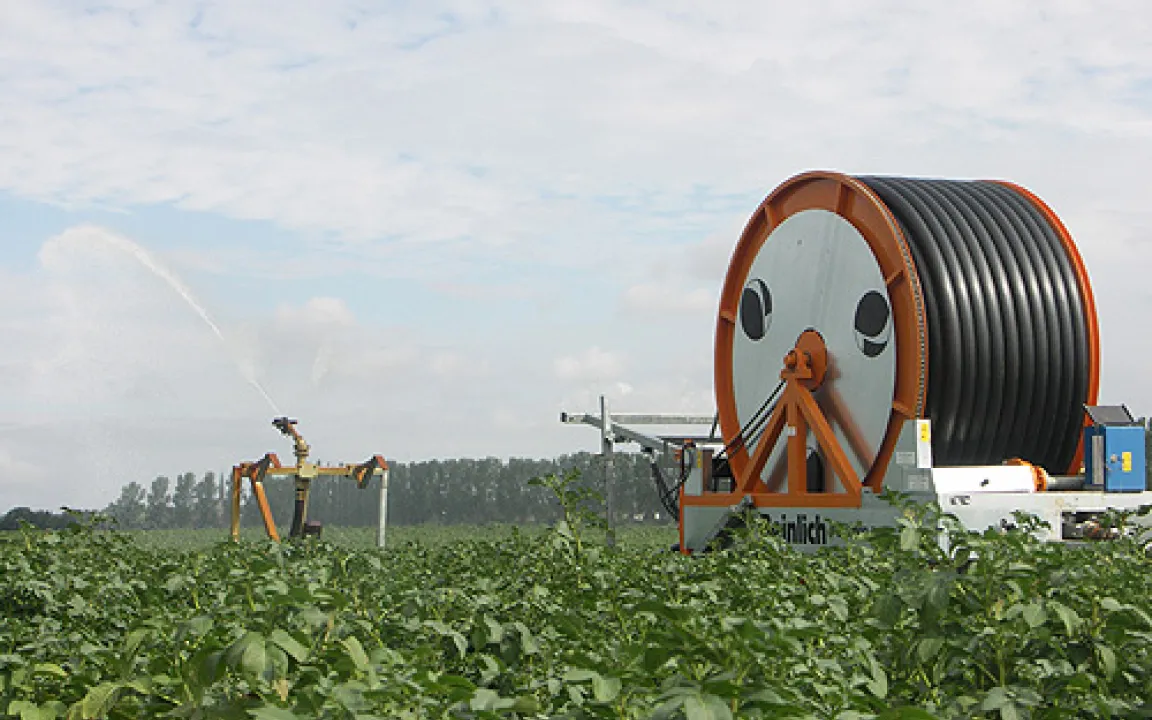 Klimawandel bringt neue Schädlinge und Krankheiten – Herausforderungen für den Pflanzenschutz