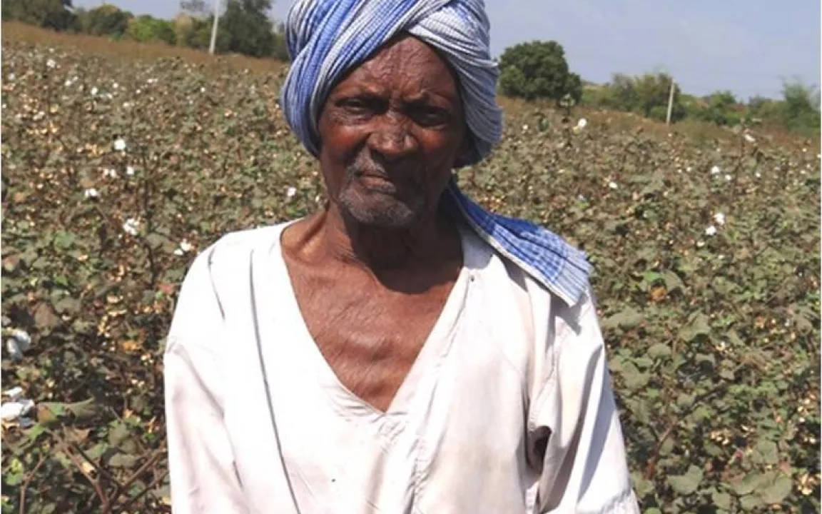 Mehr Erträge – mehr Einkommen – mehr Wohlstand für Baumwollbauern in Indien