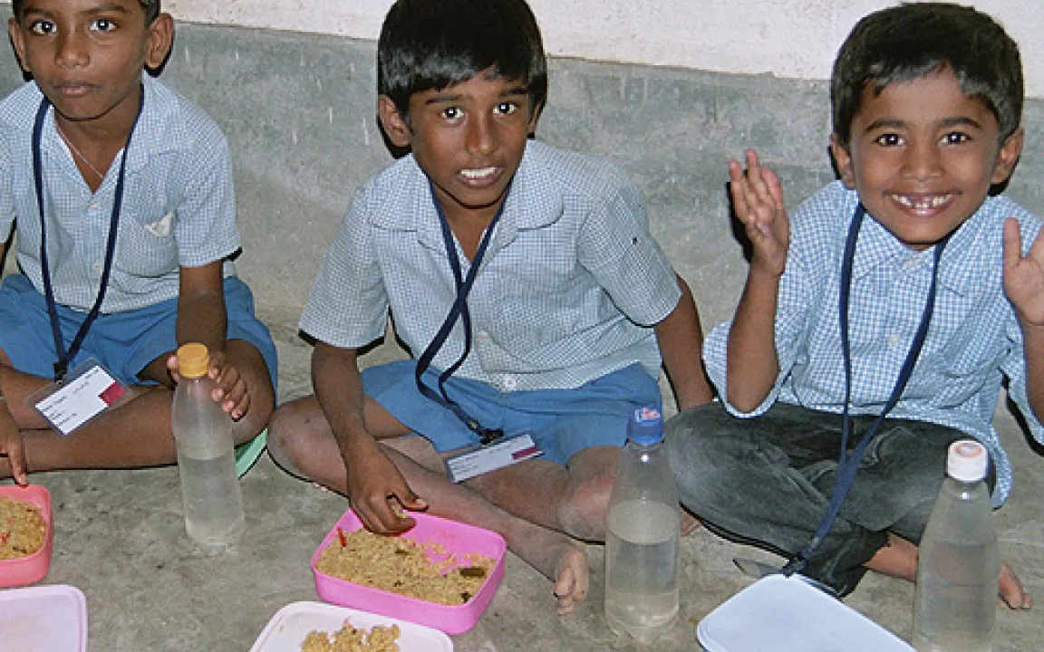 Eisen schützt vor Blei 