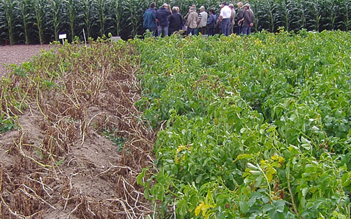 Pflanzenforschung erleben 