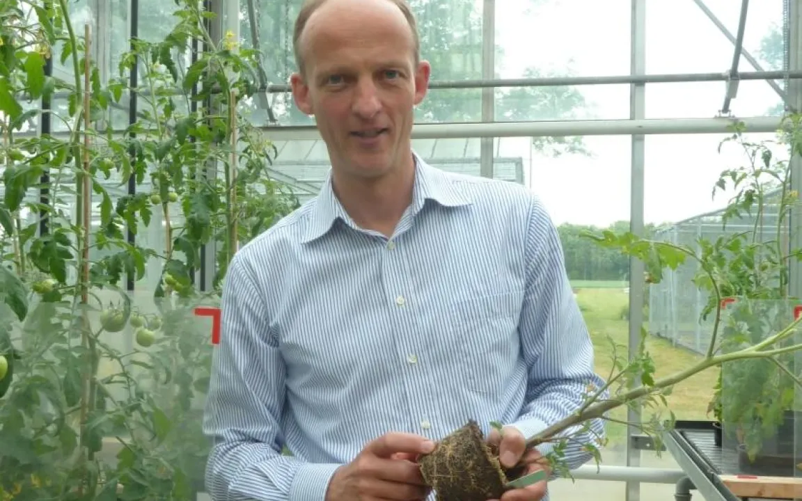 Fast unsichtbar: Nematoden im Gemüsegarten