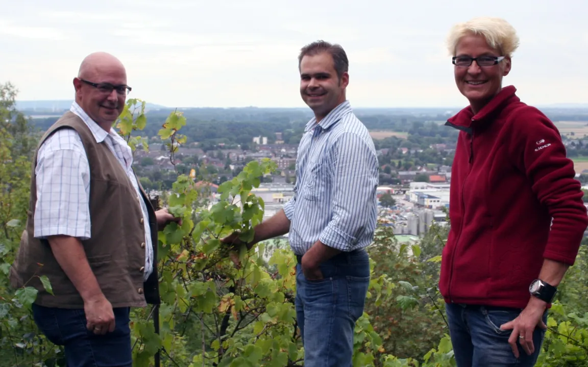 Deutschlands westlichster Weinberg