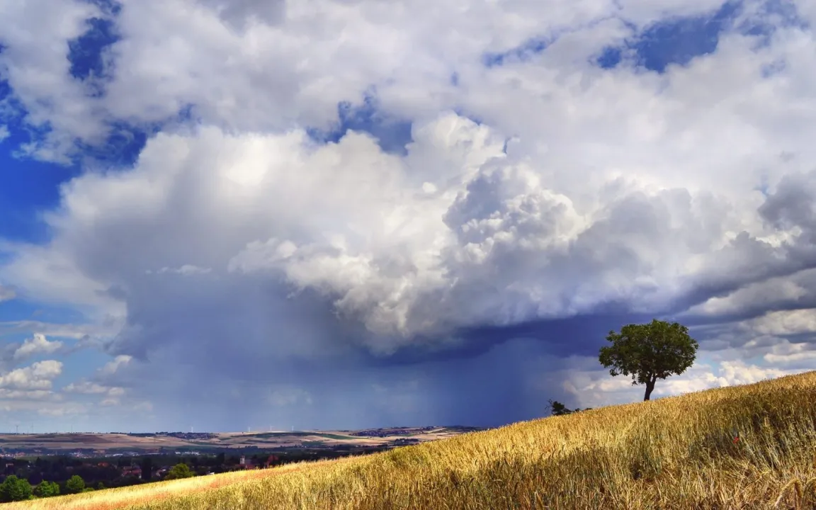 Wie wirkt sich der Klimawandel auf die Landwirtschaft aus?