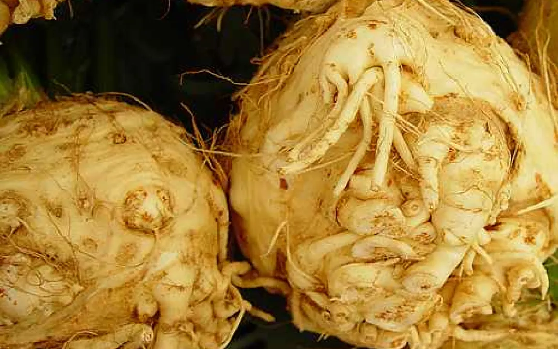 Mit natürlichen Giften leben