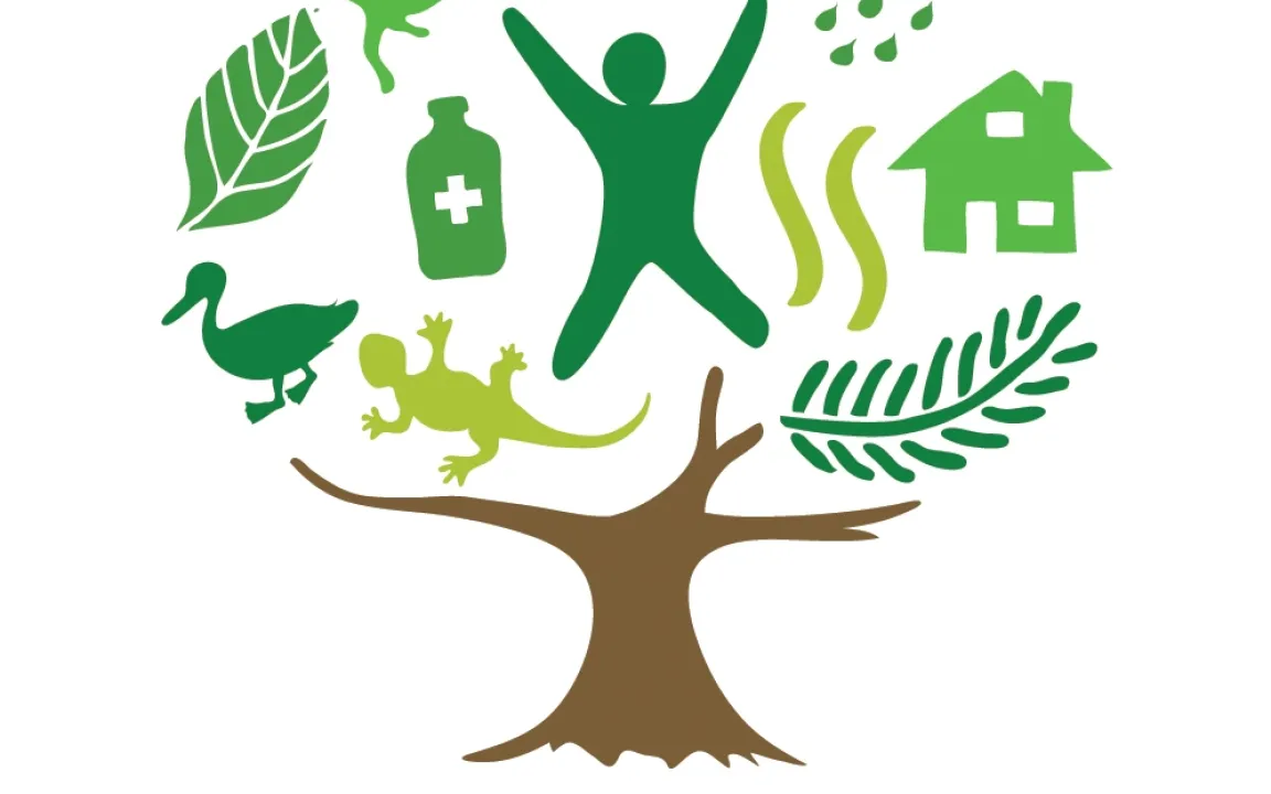 "Internationales Jahr der Wälder 2011" eröffnet