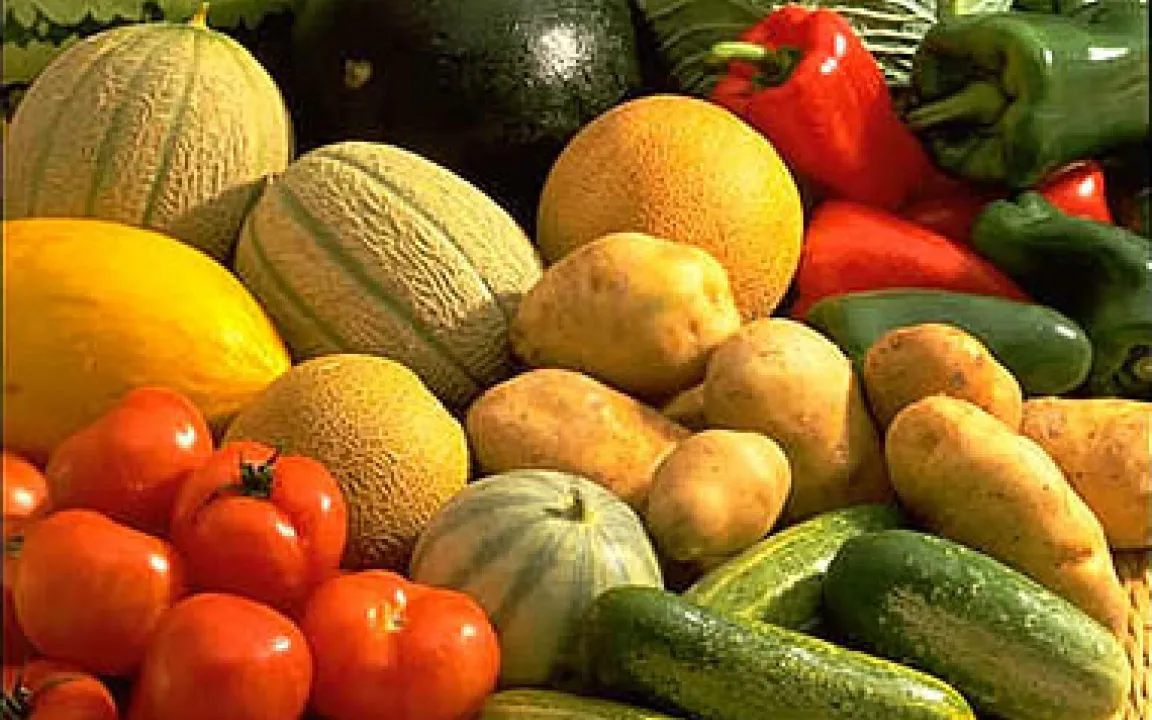 Gute Noten für Grundnahrungsmittel