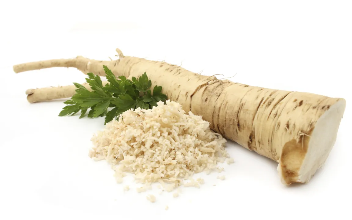 Der Meerrettich – ein würzig-scharfer Genuss