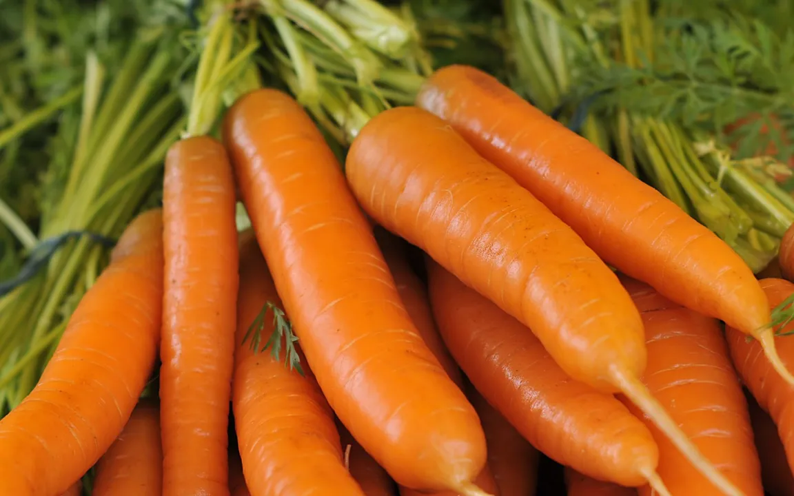 Möhren: Besser gekocht als roh essen