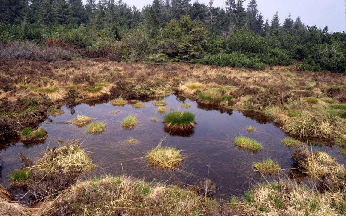 Am 5. Dezember ist Weltbodentag