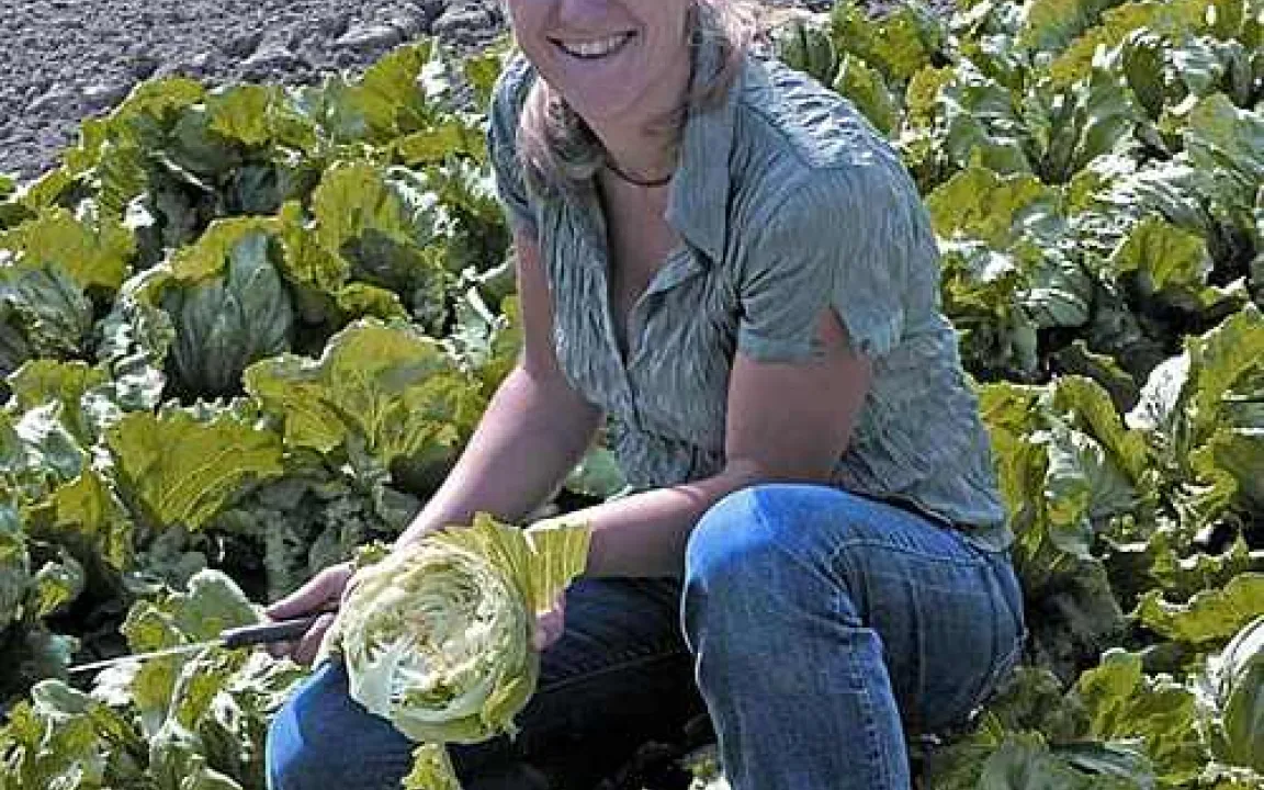 Nitrat in der Nahrung - besonders gesund?