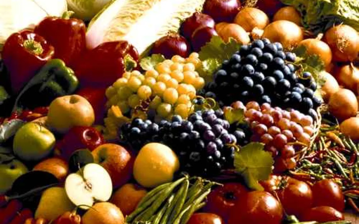 Landwirtschaft erzeugt sichere Lebensmittel