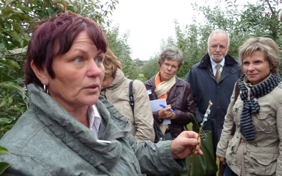 Lehrer geben Fortbildung gute Noten