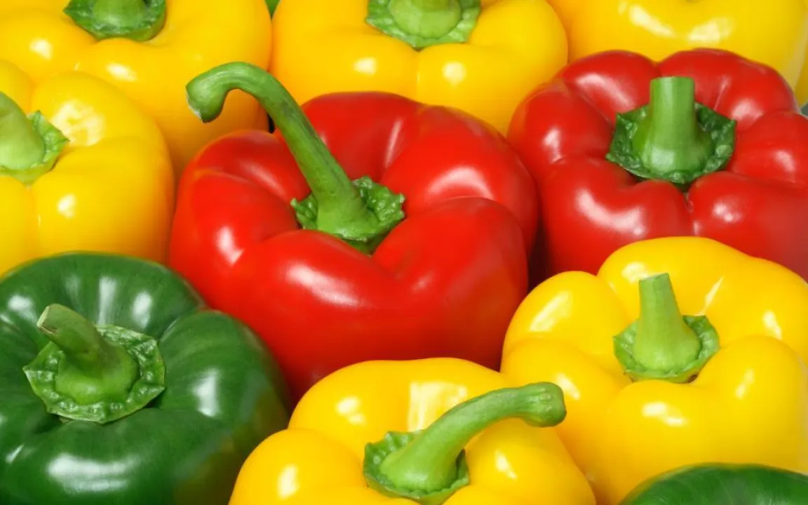 Lebensmittelsicherheit: Fakten statt Emotionen