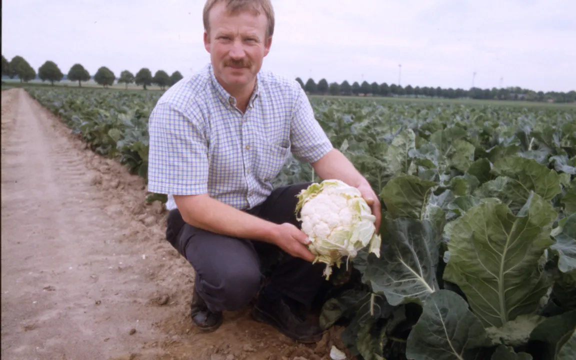 "Keine halben Sachen"