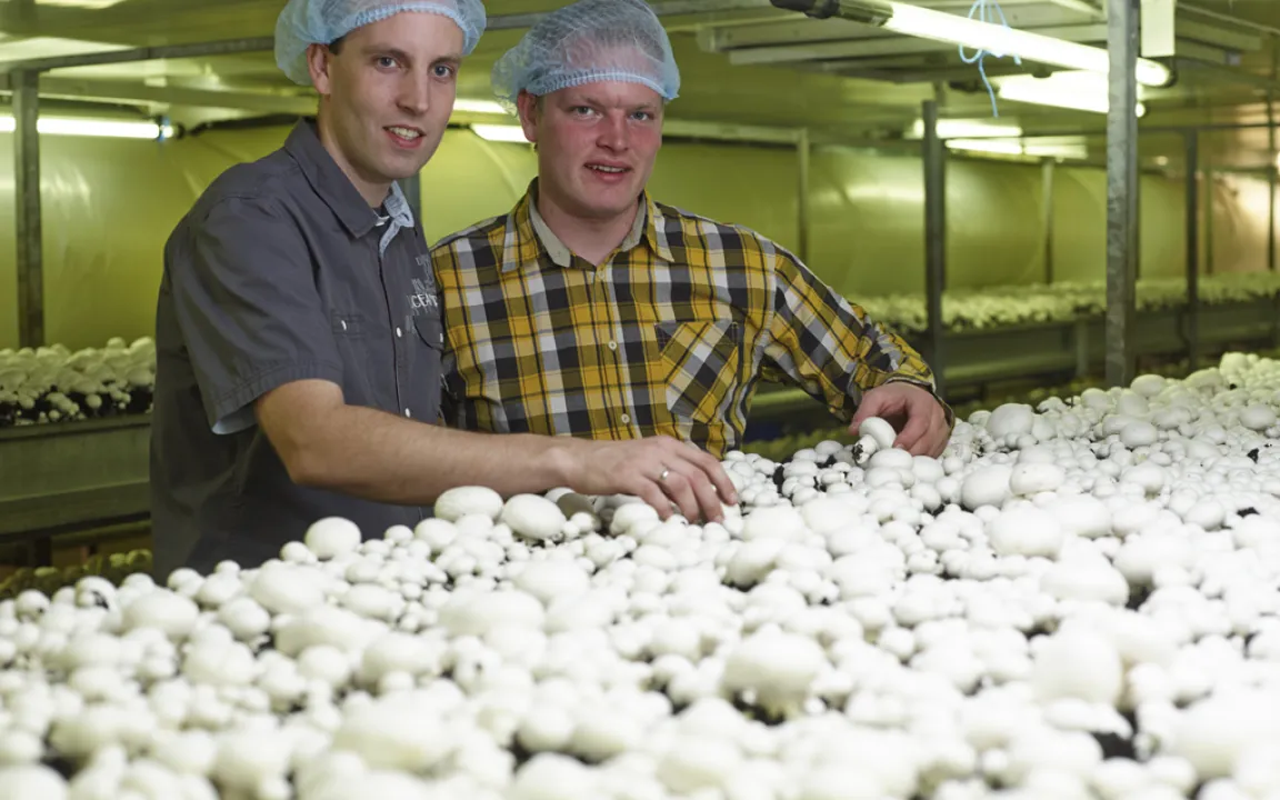 Von Beruf "Pilzanbauer"