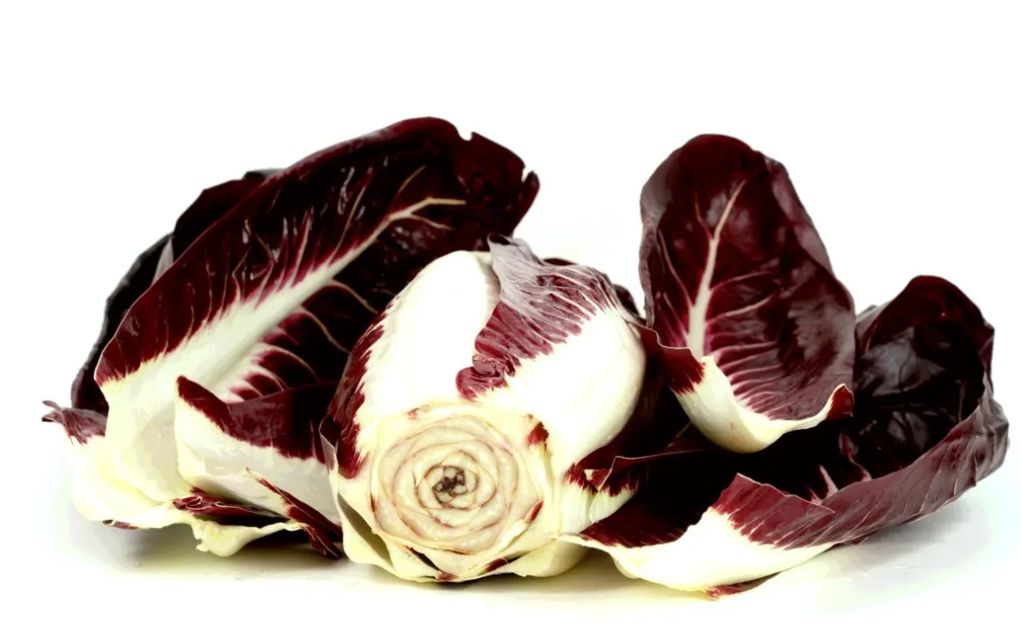 Radicchio kam vor 30 Jahren über die Alpen