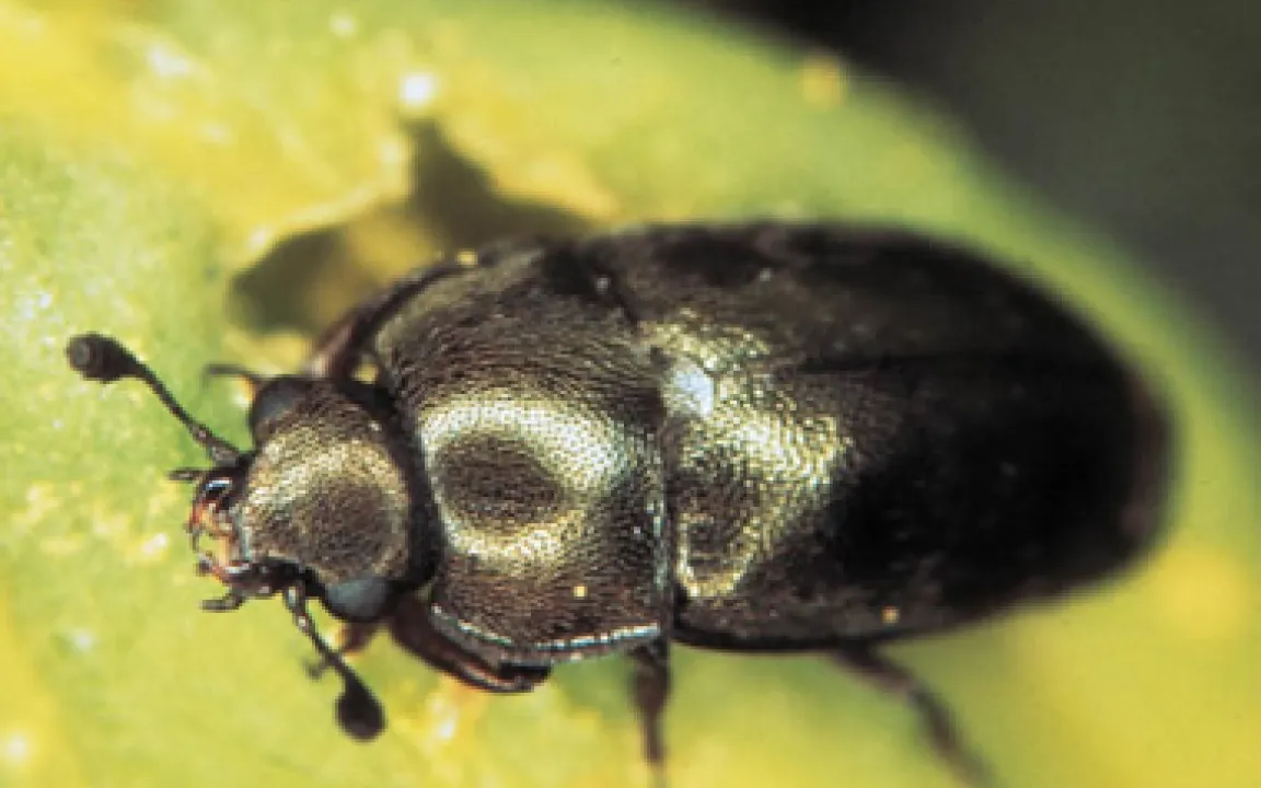 Nicht nur der heiße Sommer war’s...