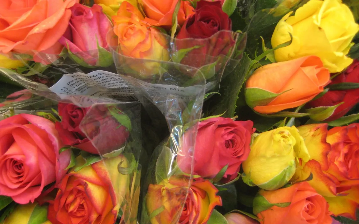 Mit Schnittblumen reine Freude schenken