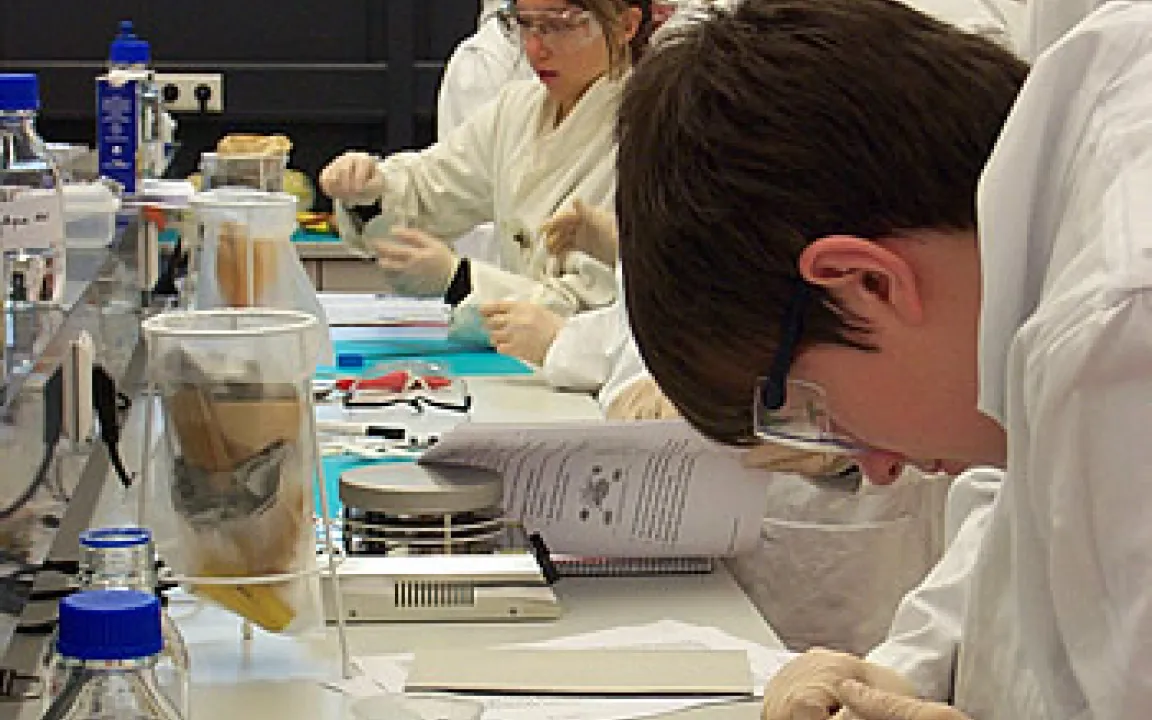 Naturwissenschaft hautnah - Schüler isolieren DNA aus einer Maissorte 