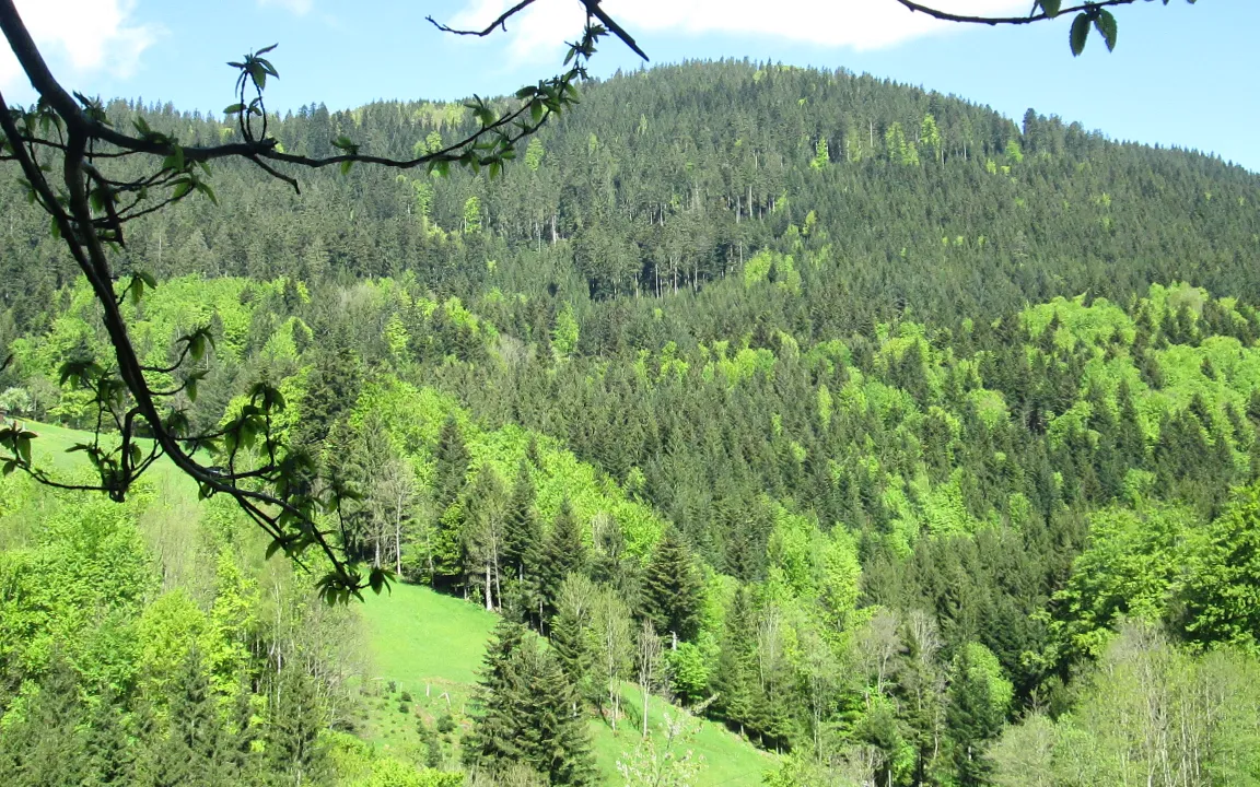 Der Patient ist ein wenig gesünder geworden