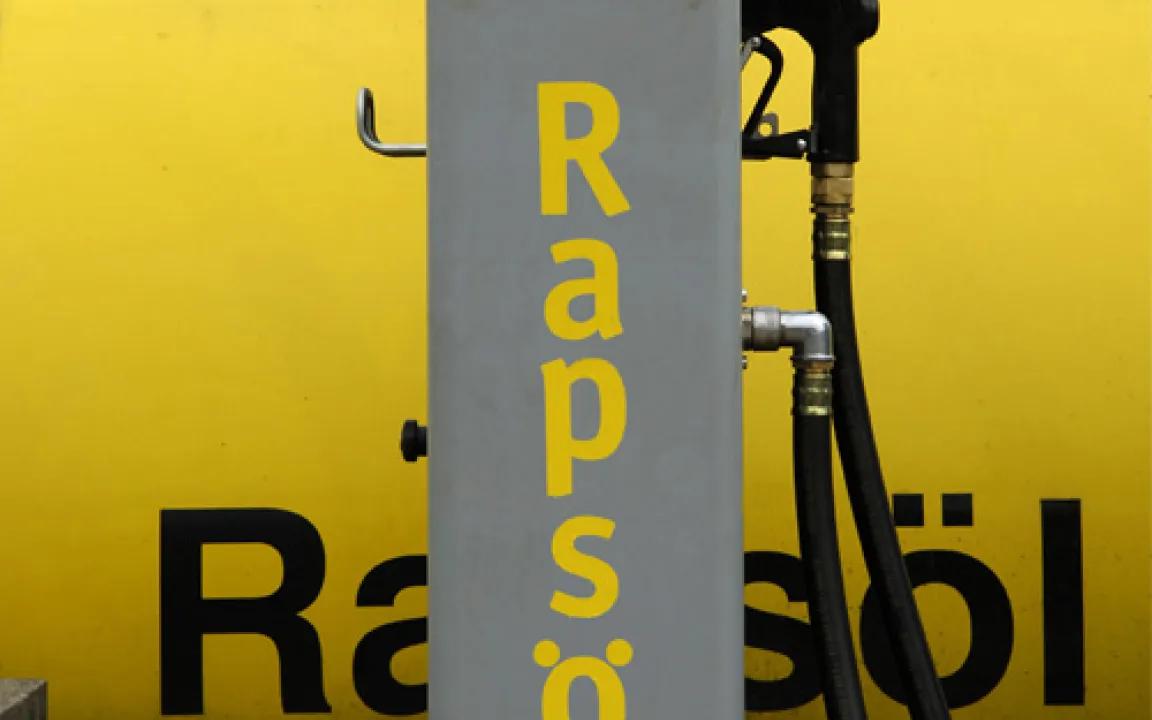 Grüne Gentechnik X – Raps immer wertvoller als nachwachsender Rohstoff 