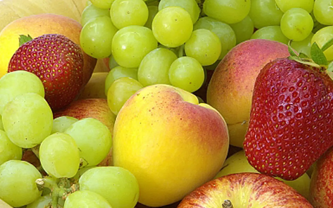 Gärt das Obst, kommt die Fliege